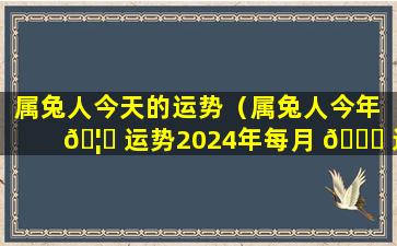 属兔人今天的运势（属兔人今年 🦅 运势2024年每月 🐋 运势）